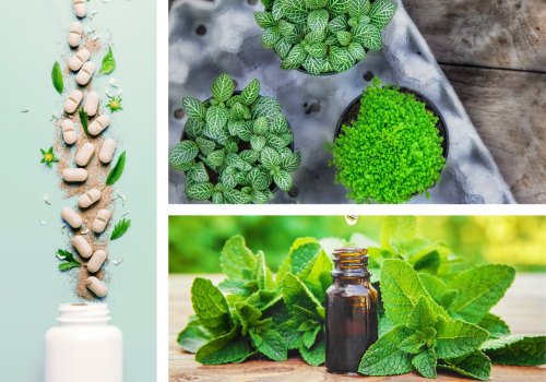 Understanding the Preparation and Administration of Herbal Remedies