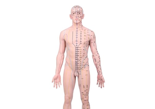 Understanding Meridians and Acupoints: A Comprehensive Guide